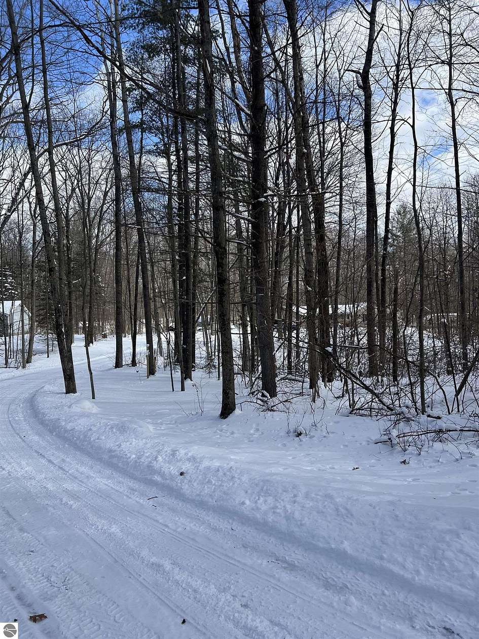 10 Acres of Recreational Land with Home for Sale in Glennie, Michigan
