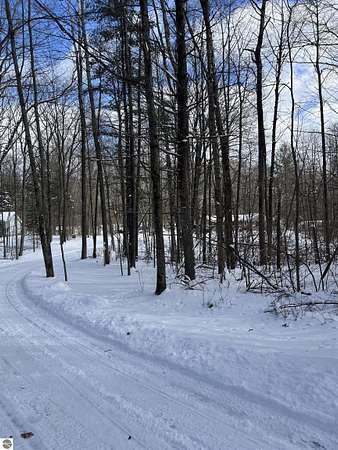 10 Acres of Recreational Land with Home for Sale in Glennie, Michigan