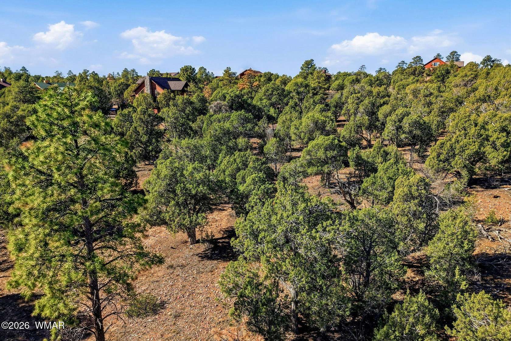 1 Acre of Residential Land for Sale in Show Low, Arizona