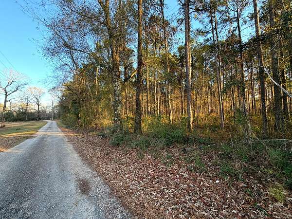 23 Acres of Land for Sale in Poplarville, Mississippi