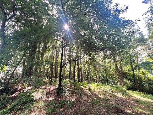 0.39 Acres of Residential Land for Sale in Nacogdoches, Texas