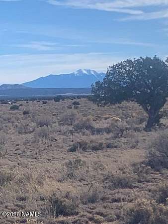4.59 Acres of Land for Sale in Williams, Arizona