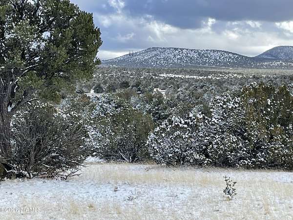 36 Acres of Recreational Land for Sale in Williams, Arizona