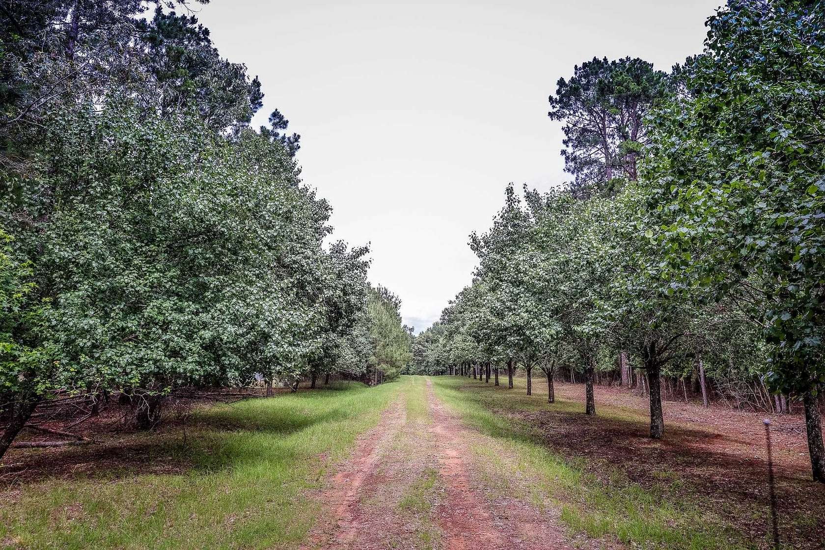 60.3 Acres of Recreational Land for Sale in Marshall, Texas