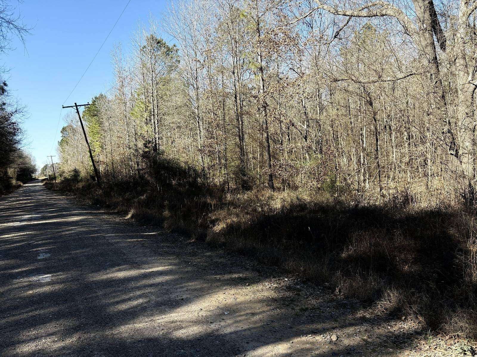 40 Acres of Recreational & Residential Land for Sale in Taylor, Arkansas
