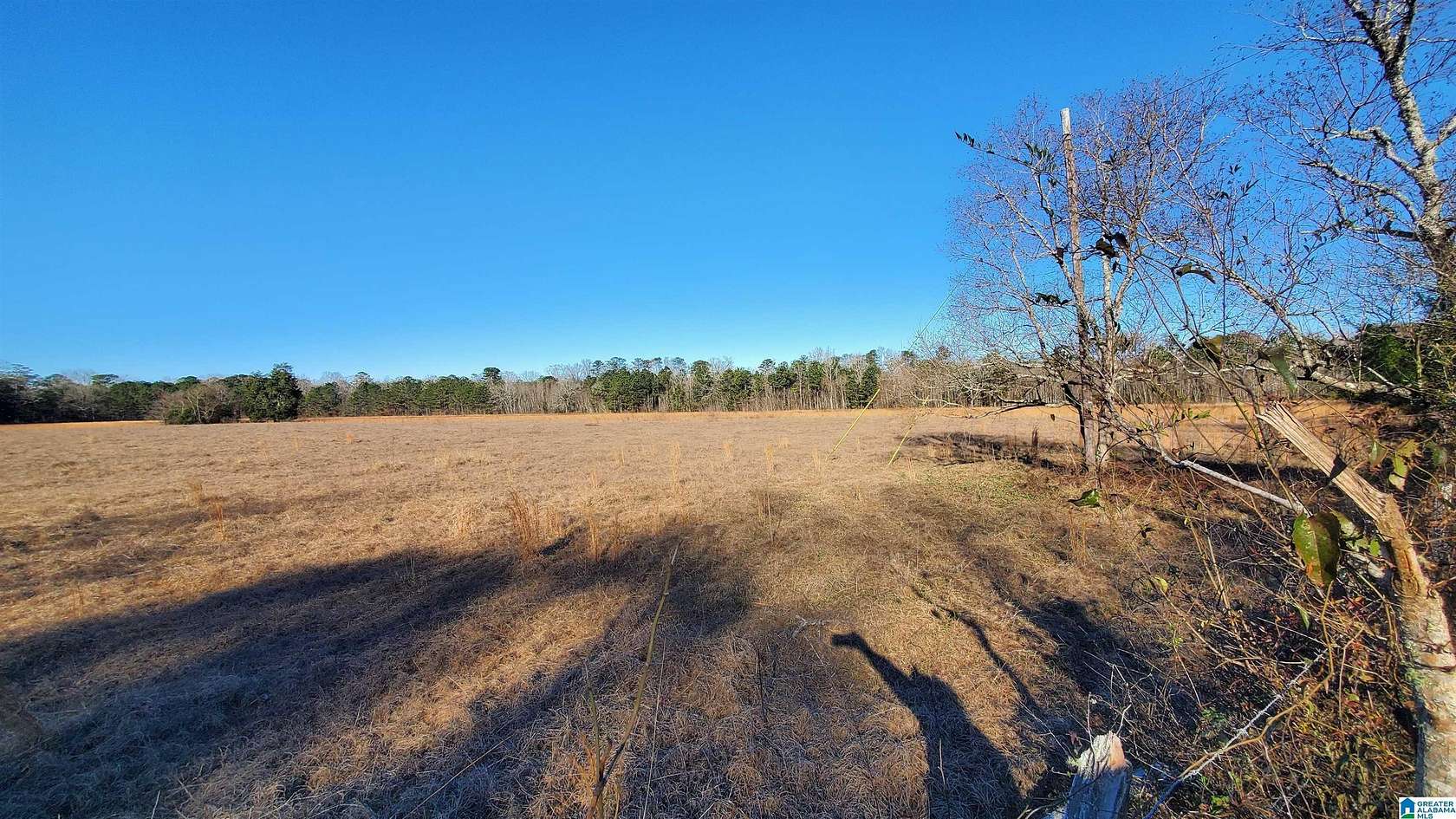 44 Acres of Recreational Land & Farm for Sale in Millbrook, Alabama