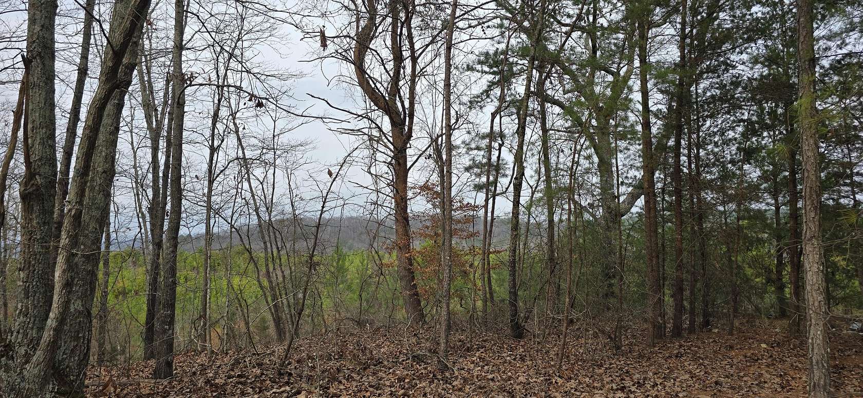 2.75 Acres of Residential Land for Sale in Summerville, Georgia