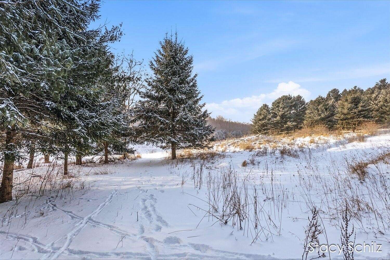 26.4 Acres of Land for Sale in Hastings, Michigan