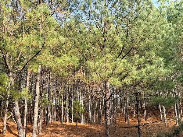5.5 Acres of Residential Land for Sale in Snellville, Georgia