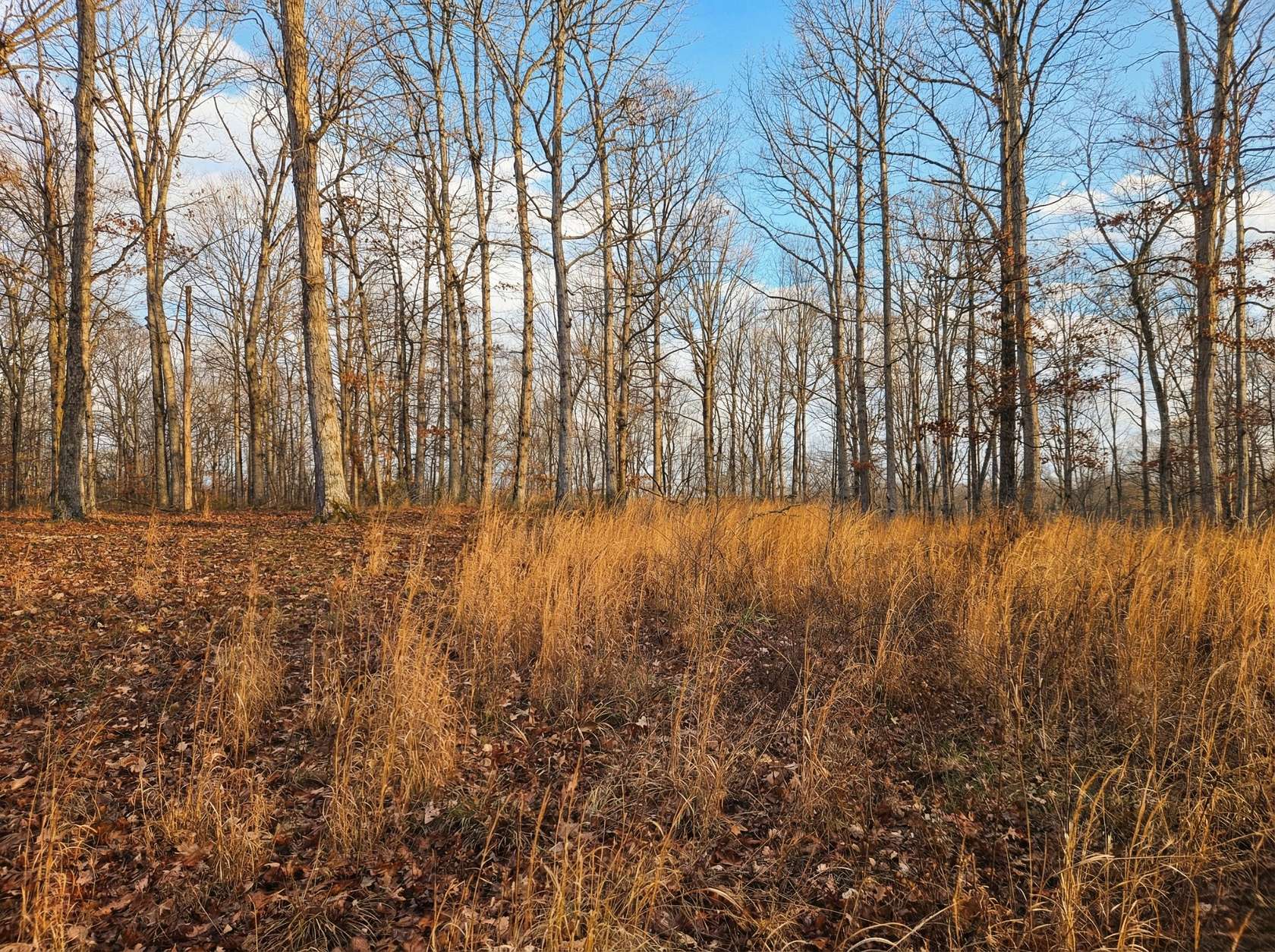 9.32 Acres of Residential Land for Sale in McEwen, Tennessee