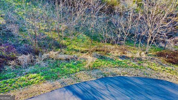 1 Acre of Residential Land for Sale in Blairsville, Georgia