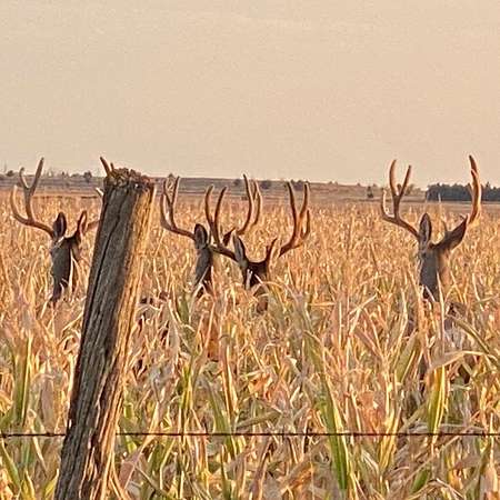 953 Acres of Land with Home for Sale in Hayes Center, Nebraska