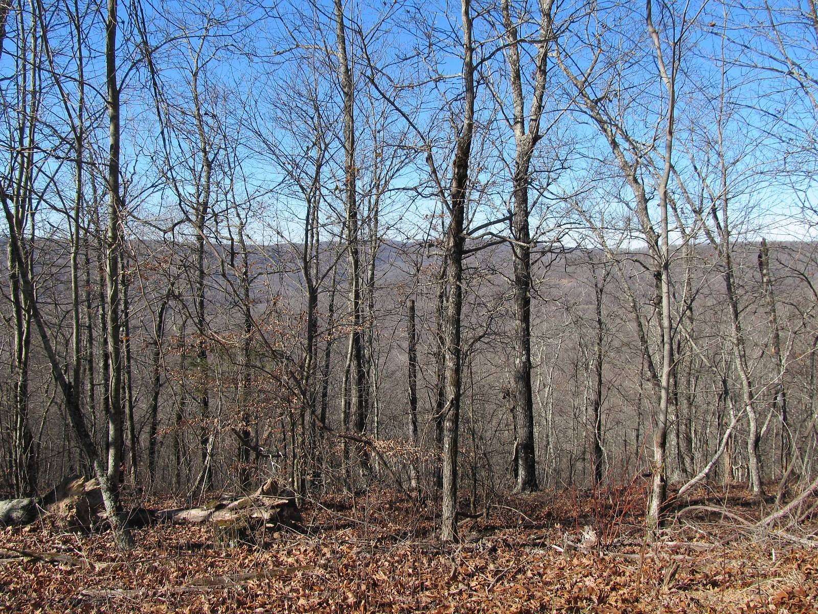 91.3 Acres of Recreational Land for Sale in Pettigrew, Arkansas