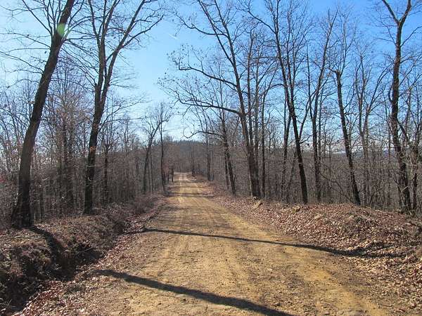 91.3 Acres of Recreational Land for Sale in Pettigrew, Arkansas