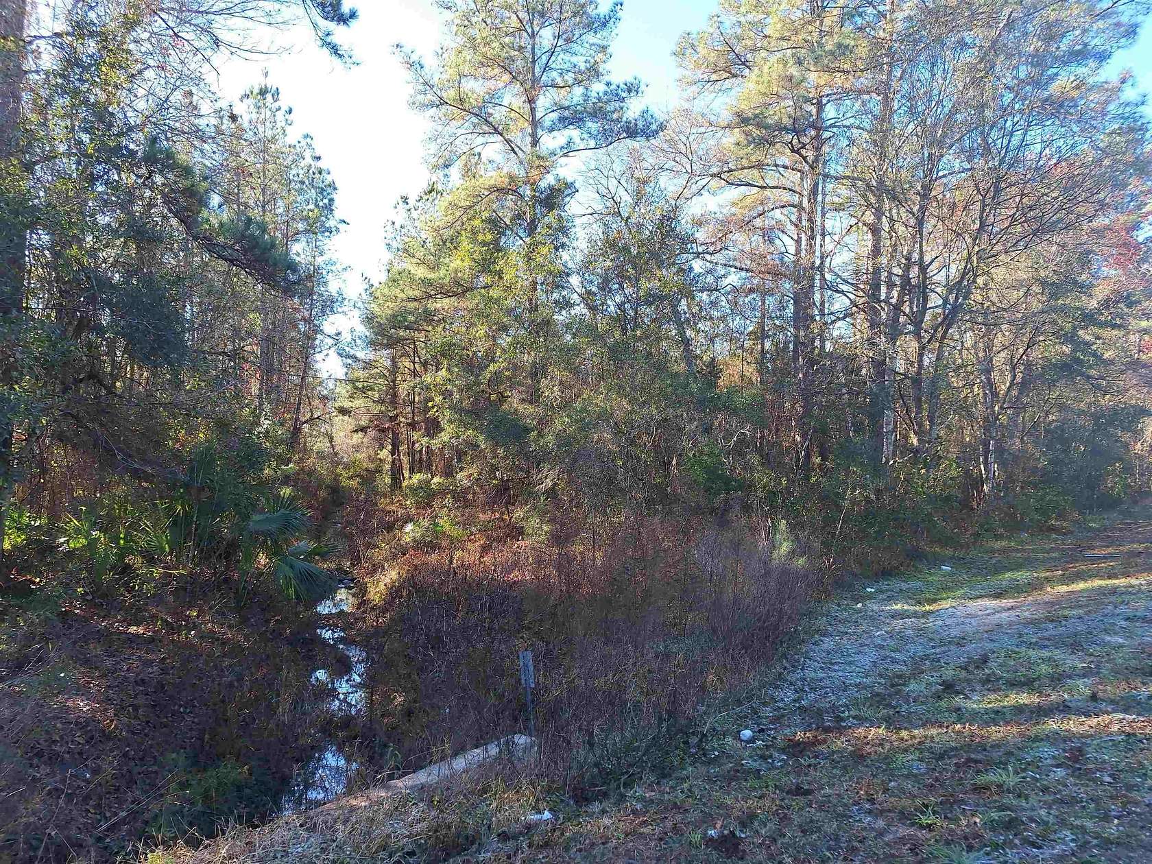 8.5 Acres of Land for Sale in Palatka, Florida