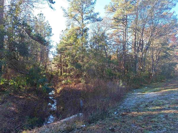 8.5 Acres of Land for Sale in Palatka, Florida