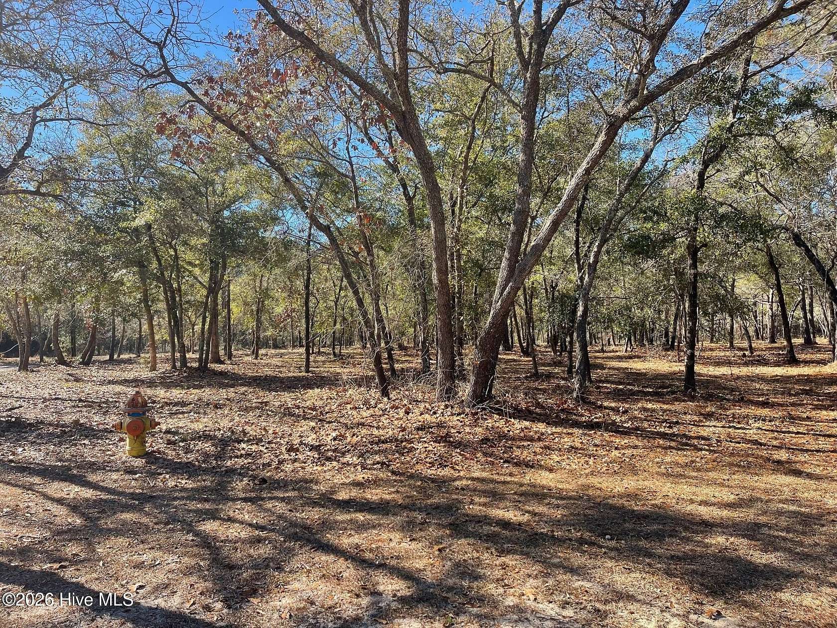 0.64 Acres of Residential Land for Sale in Supply, North Carolina