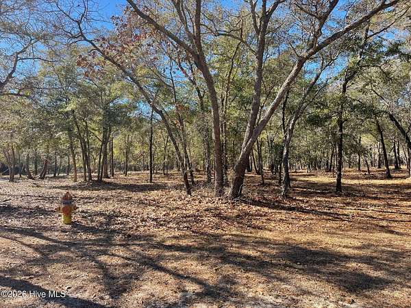 0.64 Acres of Residential Land for Sale in Supply, North Carolina