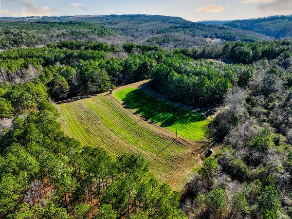 51 Acres of Recreational Land for Sale in Oneonta, Alabama