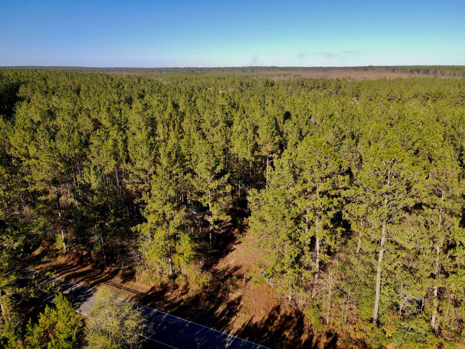 56.7 Acres of Recreational Land & Farm for Sale in Wiggins, Mississippi