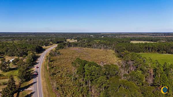22 Acres of Recreational Land for Sale in Jacksonville, Georgia