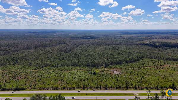 62 Acres of Recreational Land for Sale in Du Pont, Georgia