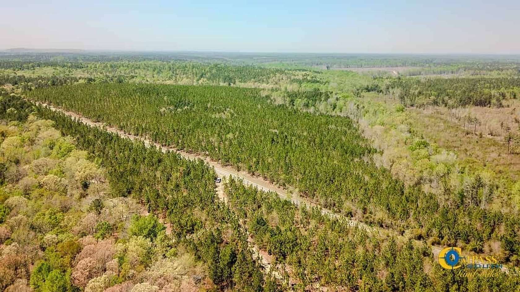 63 Acres of Recreational Land for Sale in Jefferson, South Carolina