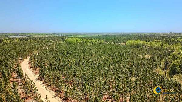 39 Acres of Recreational Land for Sale in Jefferson, South Carolina