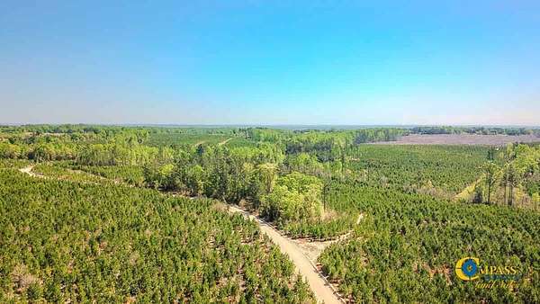 52 Acres of Recreational Land for Sale in Jefferson, South Carolina