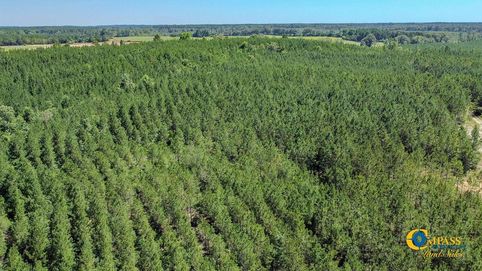 56 Acres of Recreational Land for Sale in Butler, Georgia