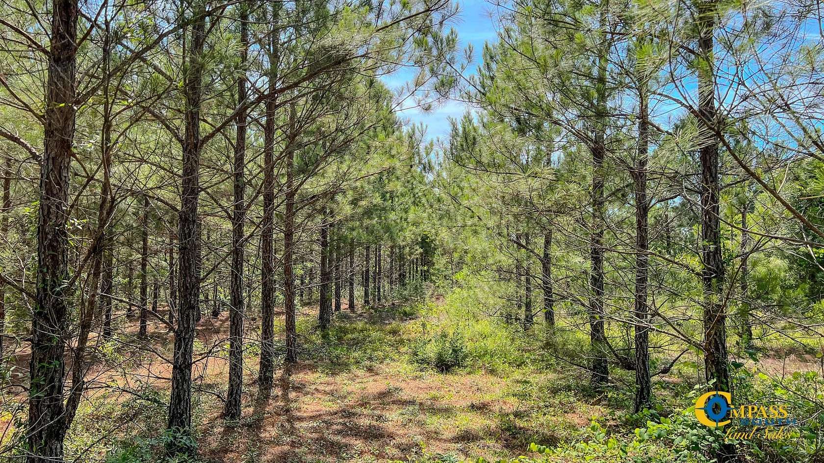 29 Acres of Recreational Land for Sale in Mauk, Georgia