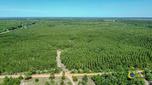 57 Acres of Recreational Land for Sale in Mauk, Georgia
