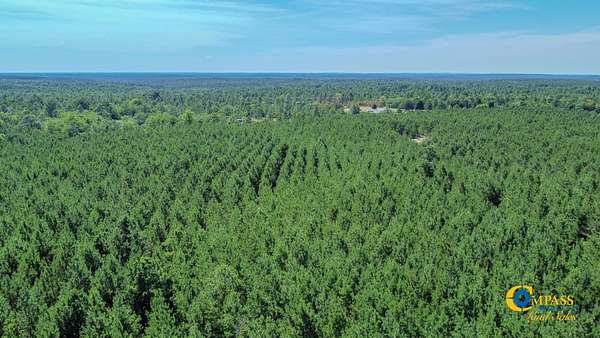 22 Acres of Recreational Land for Sale in Mauk, Georgia