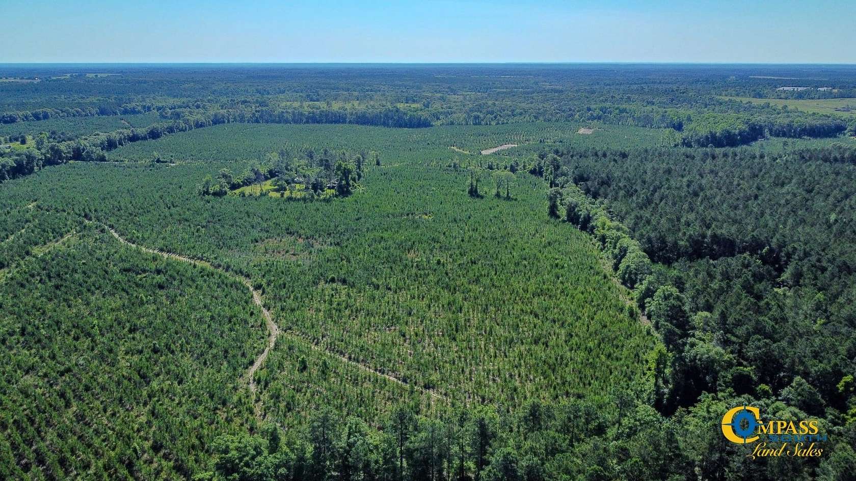 20 Acres of Recreational Land for Sale in Ideal, Georgia