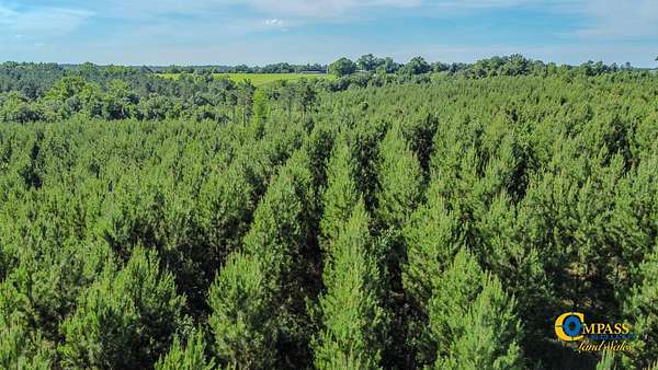 10 Acres of Recreational Land for Sale in Buena Vista, Georgia