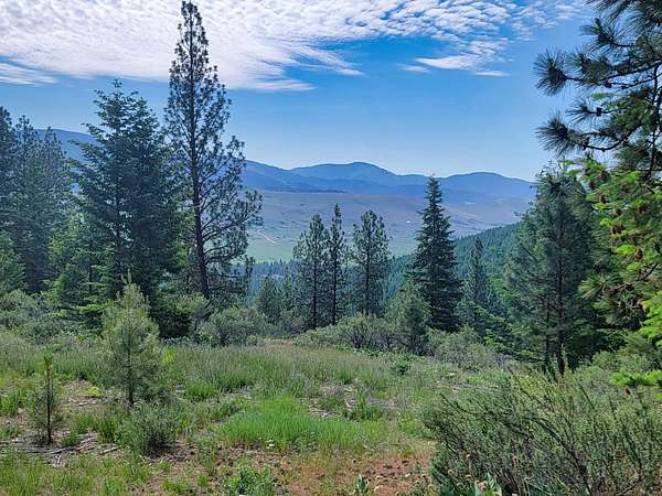 120 Acres of Recreational Land for Sale in Plains, Montana