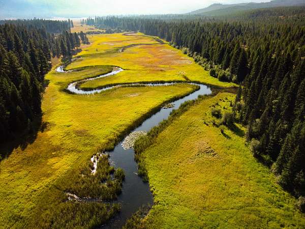 40 Acres of Recreational Land for Sale in Thompson Falls, Montana