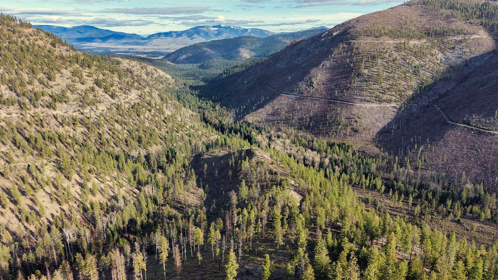 1,799 Acres of Land for Sale in Plains, Montana