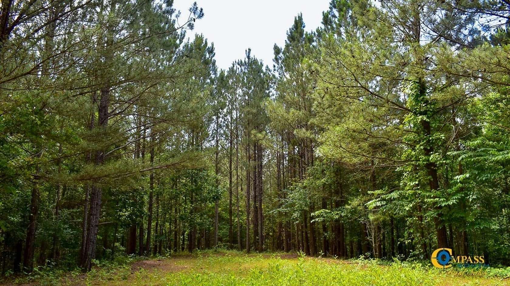 250 Acres of Recreational Land for Sale in Oakman, Georgia