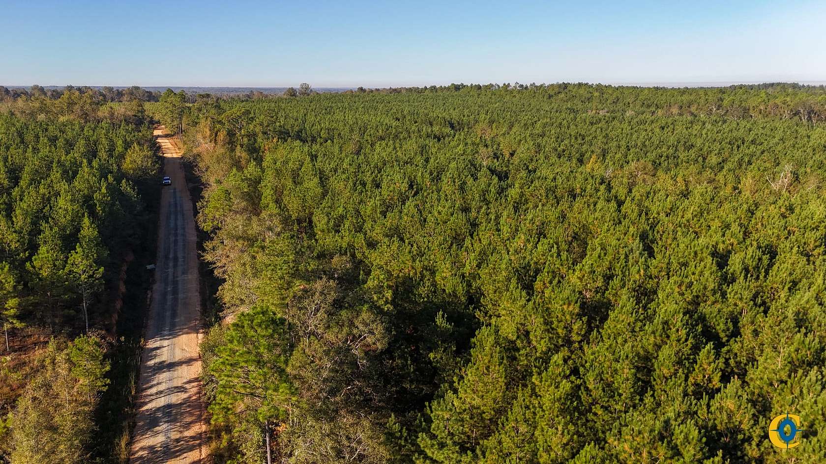 19 Acres of Recreational Land for Sale in Rockledge, Georgia