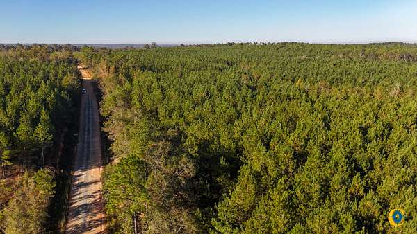 19 Acres of Recreational Land for Sale in Rockledge, Georgia