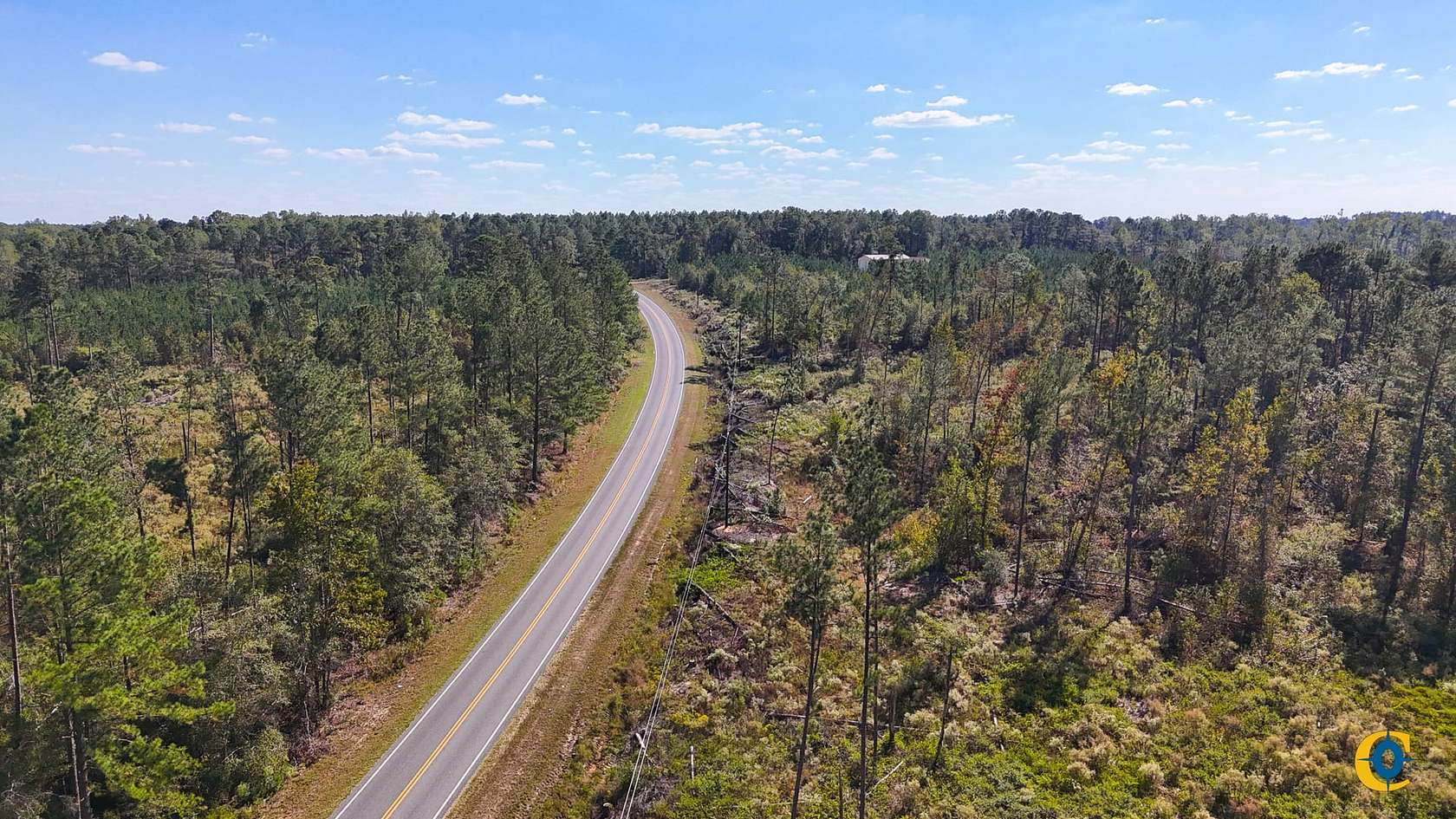 25 Acres of Recreational Land for Sale in Alma, Georgia