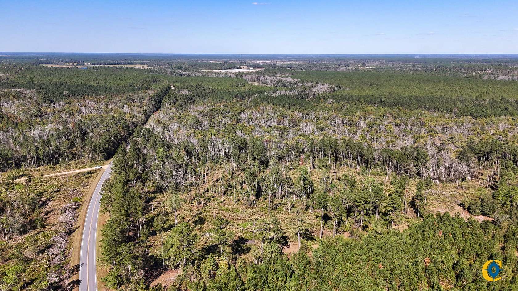 38 Acres of Recreational Land for Sale in Alma, Georgia