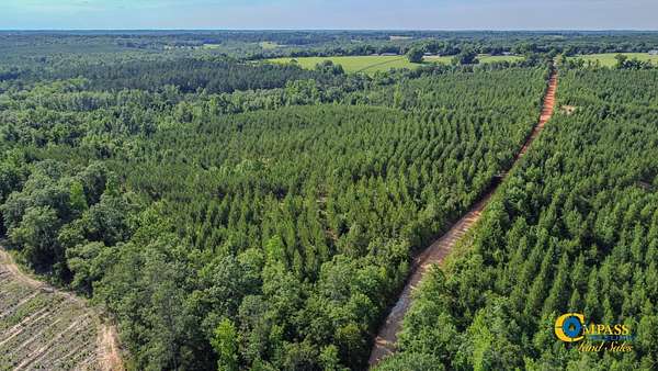 10 Acres of Recreational Land for Sale in Buena Vista, Georgia