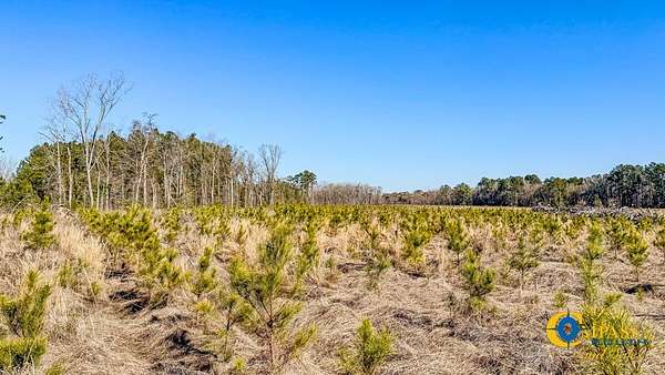 16 Acres of Recreational Land for Sale in Statesboro, Georgia