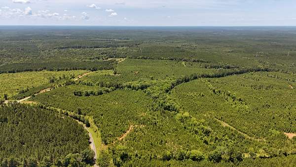 103 Acres of Recreational Land for Sale in Chester, South Carolina