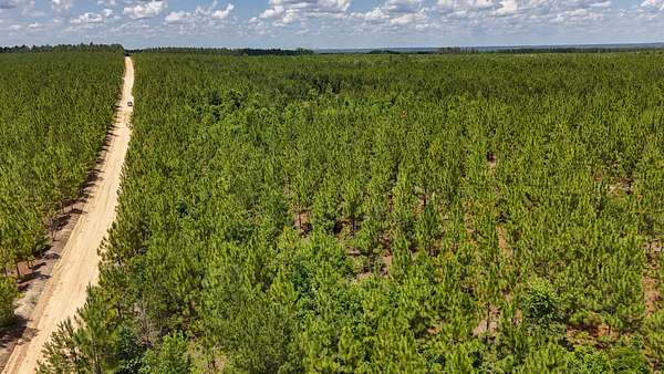 41 Acres of Recreational Land for Sale in Cassatt, South Carolina