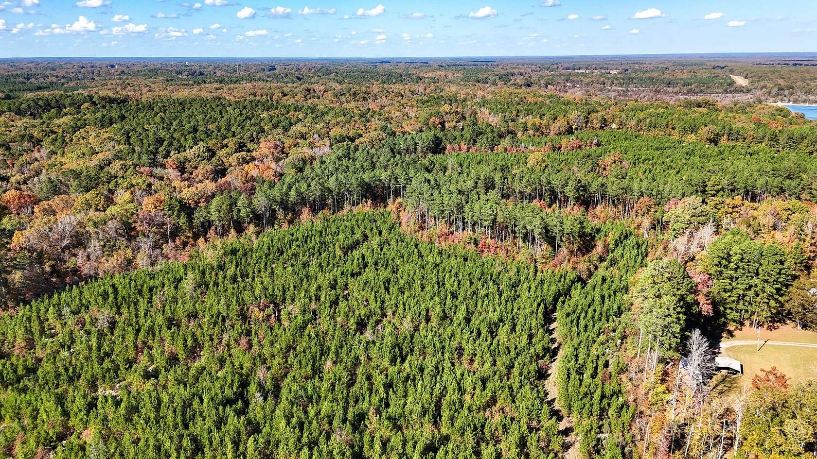 73 Acres of Recreational Land for Sale in Warren, Arkansas