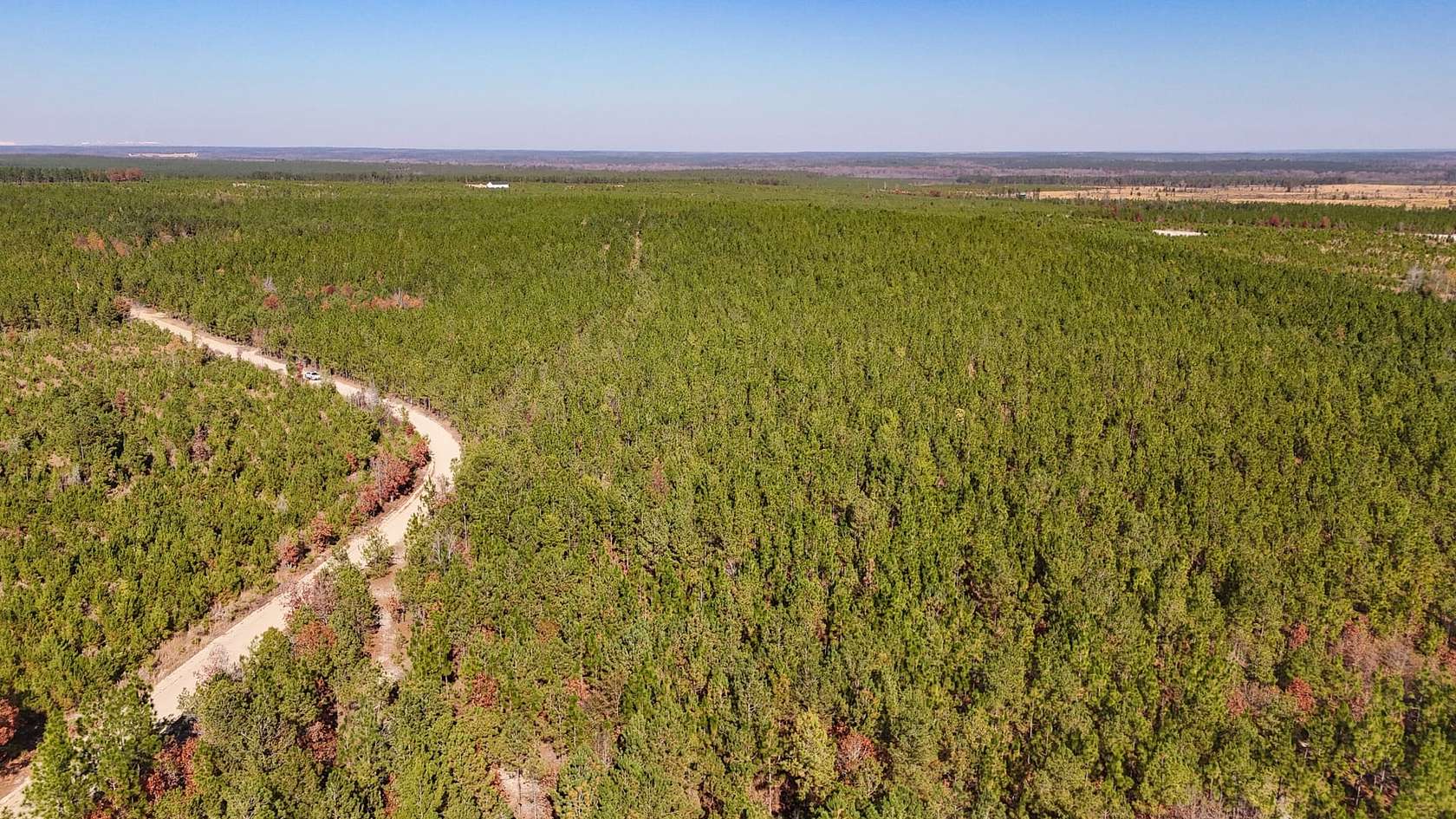 67 Acres of Recreational Land for Sale in Cassatt, South Carolina