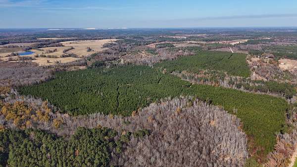 221 Acres of Recreational Land for Sale in Cassatt, South Carolina